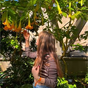 Meet your Posher, Jadzia